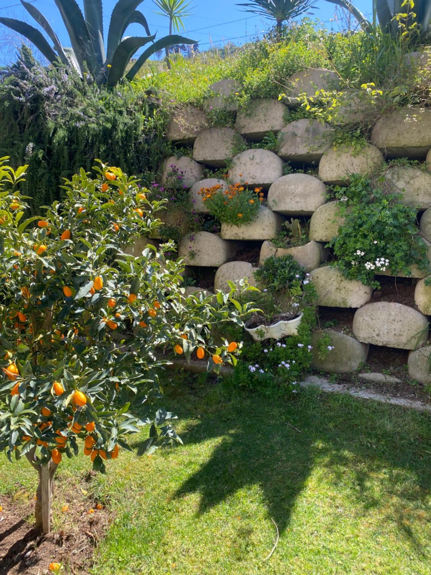 Bed and Breakfast Residenza Roma Тропеа Екстер'єр фото